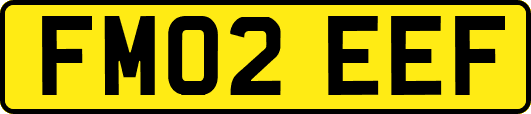 FM02EEF