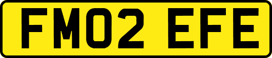 FM02EFE