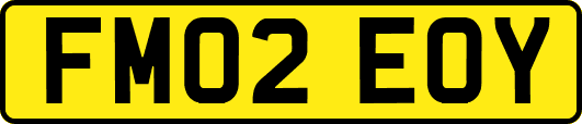 FM02EOY