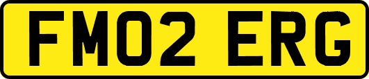 FM02ERG