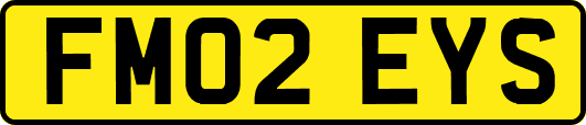 FM02EYS