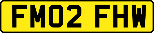 FM02FHW