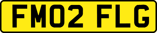 FM02FLG