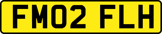 FM02FLH