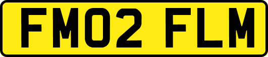 FM02FLM