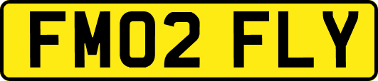 FM02FLY