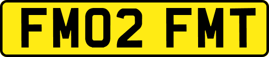 FM02FMT