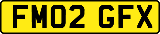FM02GFX