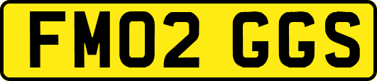 FM02GGS