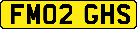 FM02GHS