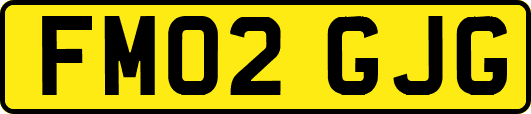 FM02GJG