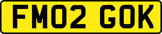 FM02GOK