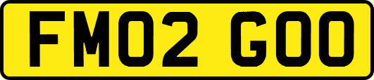 FM02GOO