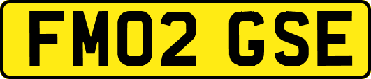 FM02GSE