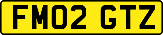 FM02GTZ