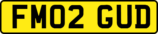 FM02GUD