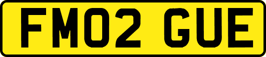 FM02GUE