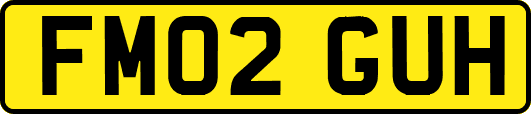 FM02GUH