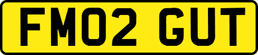 FM02GUT