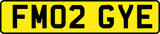 FM02GYE