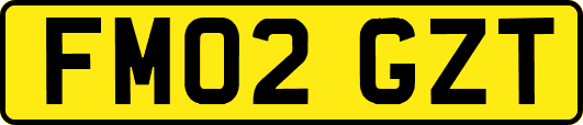 FM02GZT