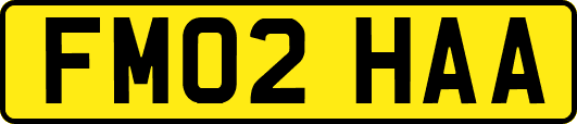 FM02HAA