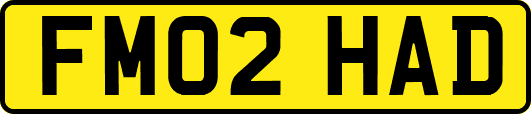 FM02HAD