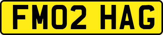 FM02HAG