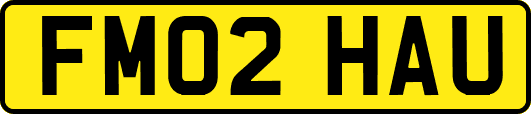 FM02HAU