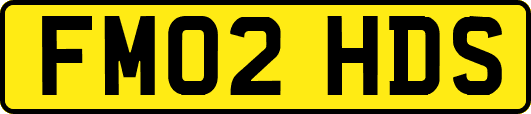 FM02HDS