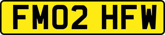 FM02HFW