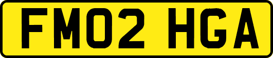 FM02HGA