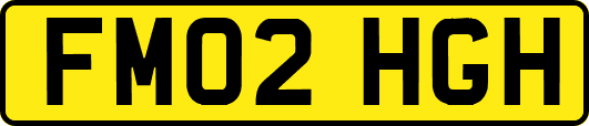FM02HGH