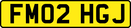 FM02HGJ