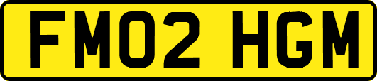 FM02HGM