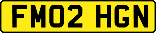 FM02HGN