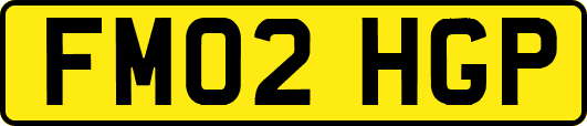 FM02HGP