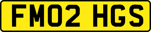 FM02HGS