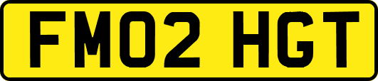 FM02HGT