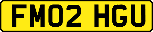 FM02HGU