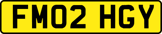 FM02HGY