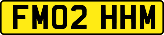 FM02HHM