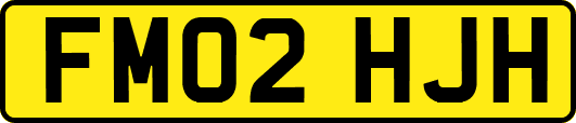 FM02HJH