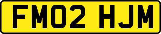 FM02HJM