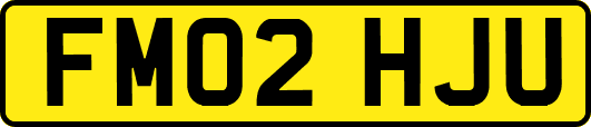FM02HJU