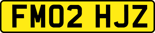 FM02HJZ