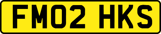 FM02HKS