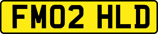 FM02HLD