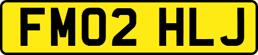 FM02HLJ