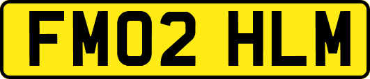 FM02HLM